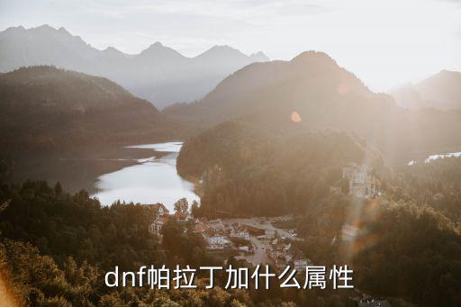 dnf帕拉丁加什么属性