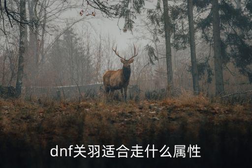 dnf关羽适合走什么属性