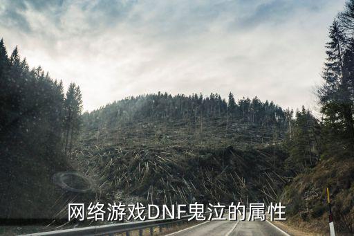 网络游戏DNF鬼泣的属性