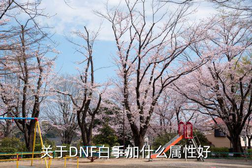 关于DNF白手加什么属性好