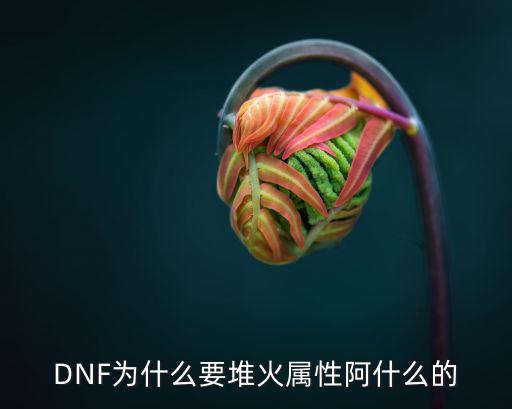 DNF为什么要堆火属性阿什么的