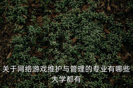 关于网络游戏维护与管理的专业有哪些大学都有