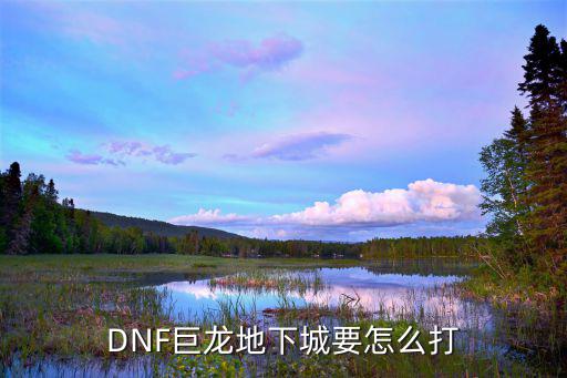 dnf巨龙什么属性打，目前版本奶德 打普通10巨龙 精神属性应该在多少合适