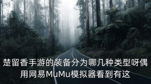 楚留香手游的装备分为哪几种类型呀偶用网易MuMu模拟器看到有这