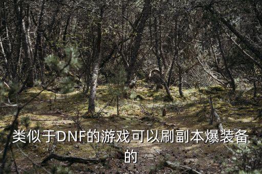 类似于DNF的游戏可以刷副本爆装备的