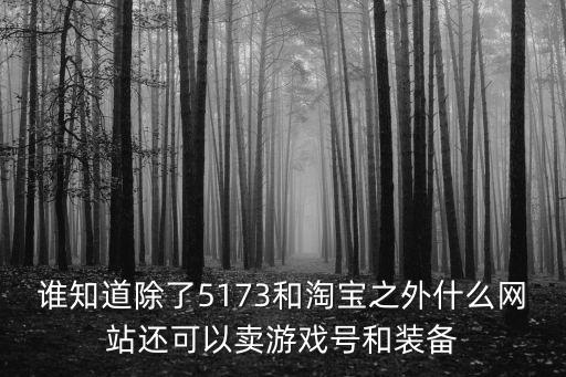 谁知道除了5173和淘宝之外什么网站还可以卖游戏号和装备