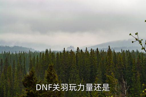 DNF关羽玩力量还是