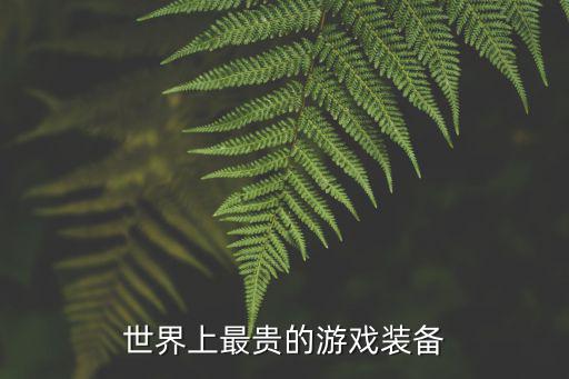 世界上最贵的游戏装备