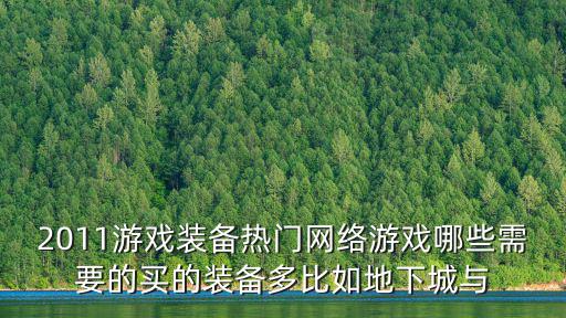 2011游戏装备热门网络游戏哪些需要的买的装备多比如地下城与