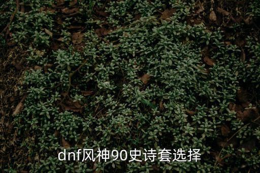 dnf风神90史诗套选择