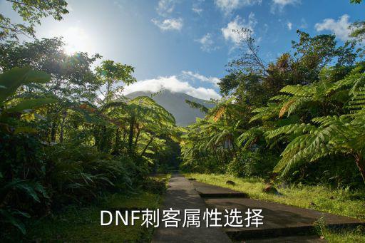 DNF刺客属性选择