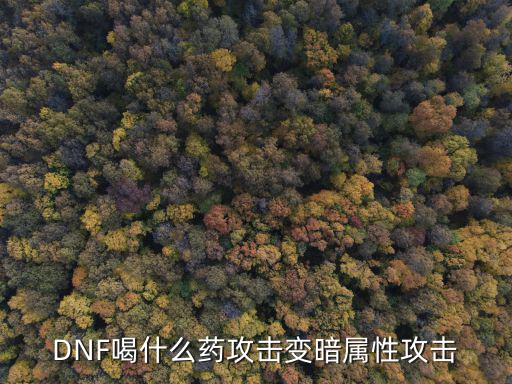 dnf什么药剂暗属性，暗属性药水叫什么名字