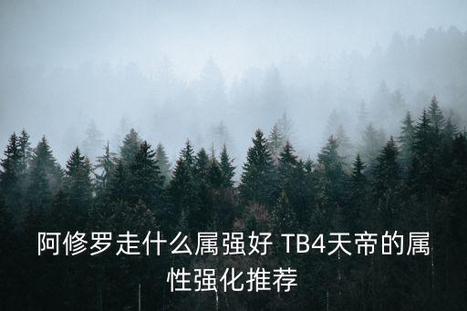 阿修罗走什么属强好 TB4天帝的属性强化推荐