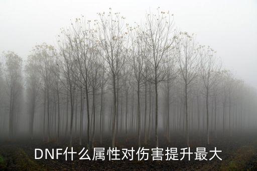 DNF什么属性对伤害提升最大