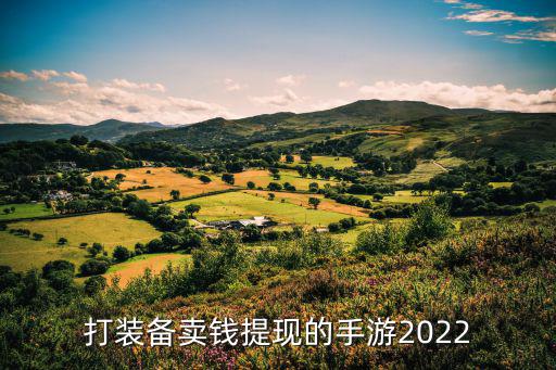 打装备卖钱提现的手游2022