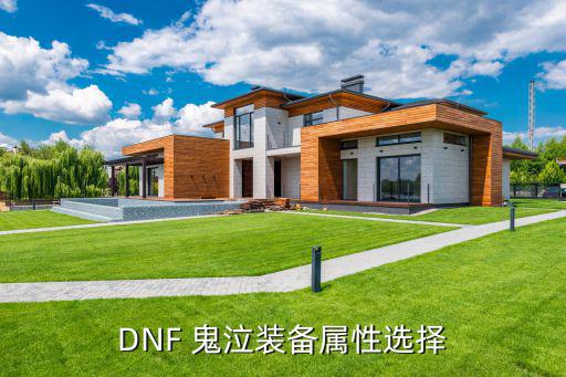 dnf什么属性适合鬼泣，DNF 鬼泣装备属性选择