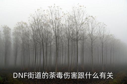 dnf荼毒加什么属性，DNF街道的荼毒伤害跟什么有关