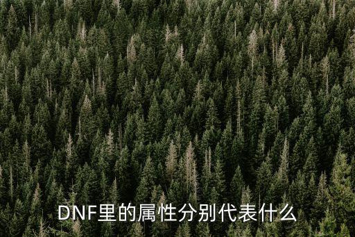 DNF里的属性分别代表什么