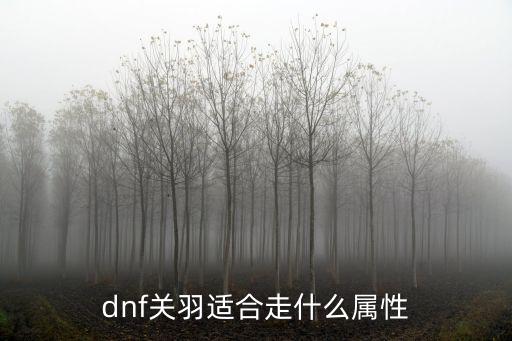 dnf关羽适合走什么属性