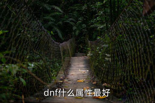 dnf中什么属性最好，dnf哪些属性比较有用