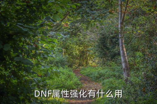 dnf属性强化加什么，dnf属性强化有什么作用会增加伤害吗