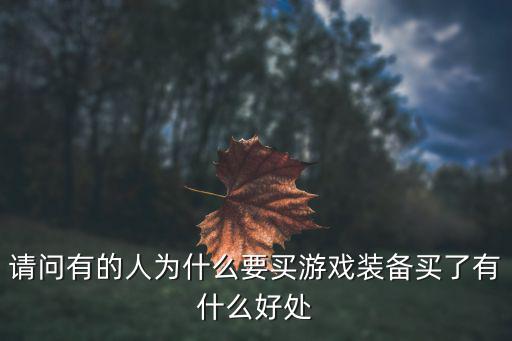 请问有的人为什么要买游戏装备买了有什么好处