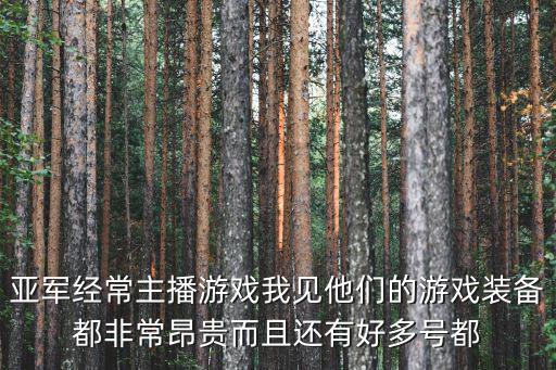 亚军经常主播游戏我见他们的游戏装备都非常昂贵而且还有好多号都