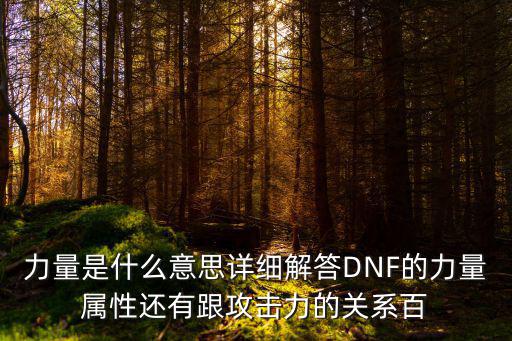 力量是什么意思详细解答DNF的力量属性还有跟攻击力的关系百