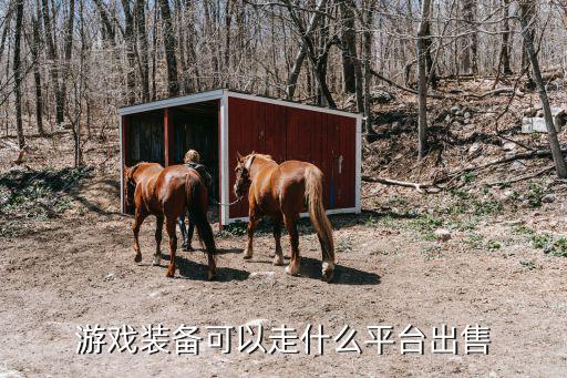 有哪些游戏装备可以卖钱的软件，游戏装备换人民币交易的平台有哪些