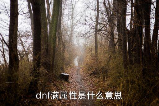 dnf满属性是什么意思