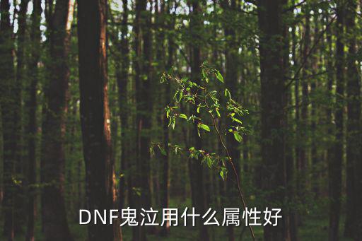 DNF鬼泣用什么属性好