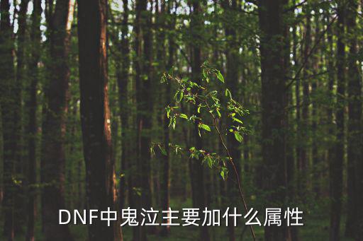 DNF中鬼泣主要加什么属性