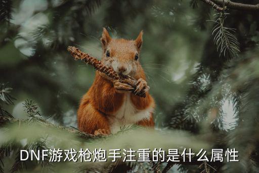 dnf手游什么属性，DNF游戏枪炮手注重的是什么属性