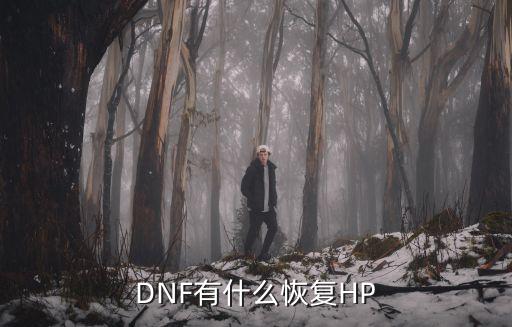 DNF有什么恢复HP