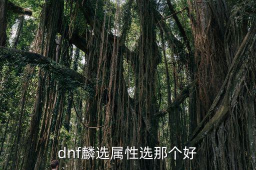 dnf麟选属性选那个好