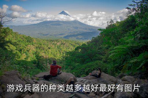 游戏兵器的种类越多越好最好有图片