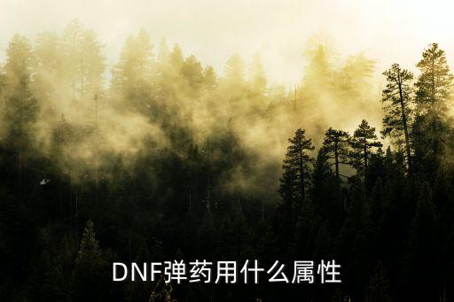 DNF弹药看什么属性，DNF弹药用什么属性