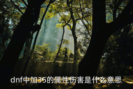 dnf中加35的属性伤害是什么意思