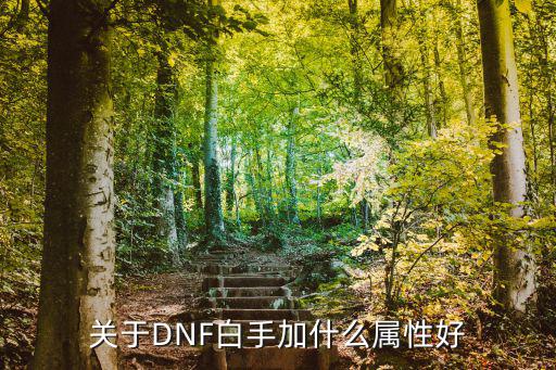 关于DNF白手加什么属性好