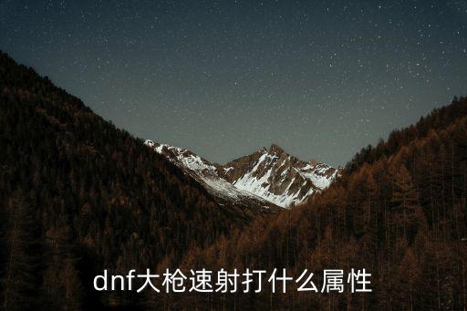 dnf大枪速射打什么属性