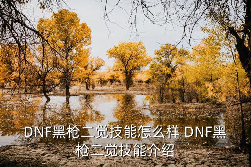 dnf黑枪使什么属性，DNF的神枪手主要加什么属性