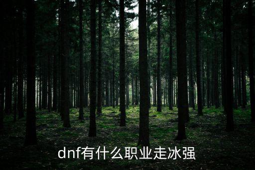 dnf有什么职业走冰强