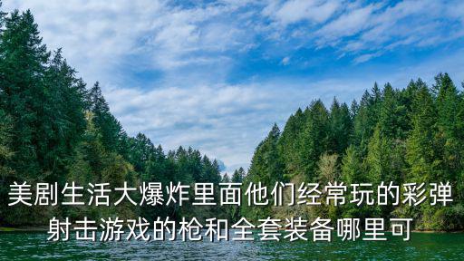 美剧生活大爆炸里面他们经常玩的彩弹射击游戏的枪和全套装备哪里可