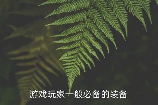 游戏玩家一般必备的装备