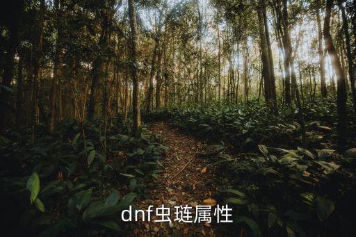 dnf虫琏属性