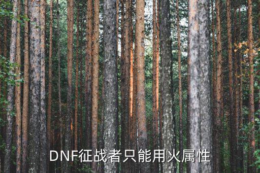 DNF征战者只能用火属性