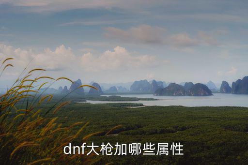 dnf大枪加哪些属性