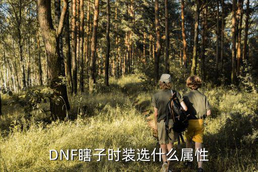 DNF瞎子时装选什么属性