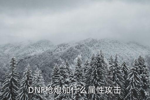 DNF枪炮加什么属性攻击