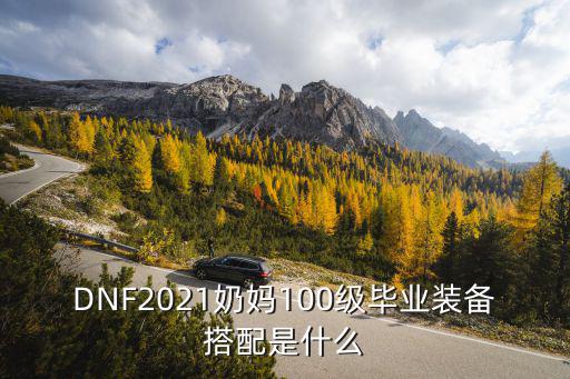 DNF2021奶妈100级毕业装备搭配是什么